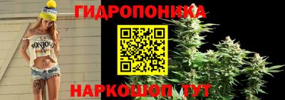 метадон Аргун