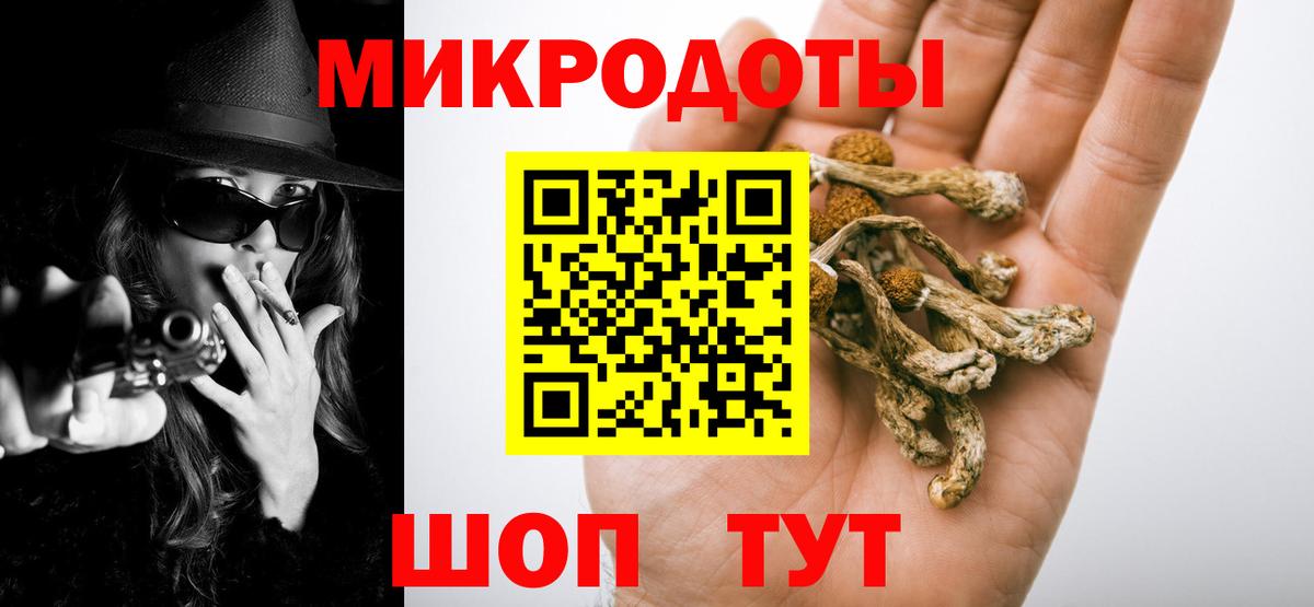 продажа наркотиков  Галлюциногенные грибы GOLDEN TEACHER  Вязники  Вход с VPN  Галлюциногенные грибы мухоморы 